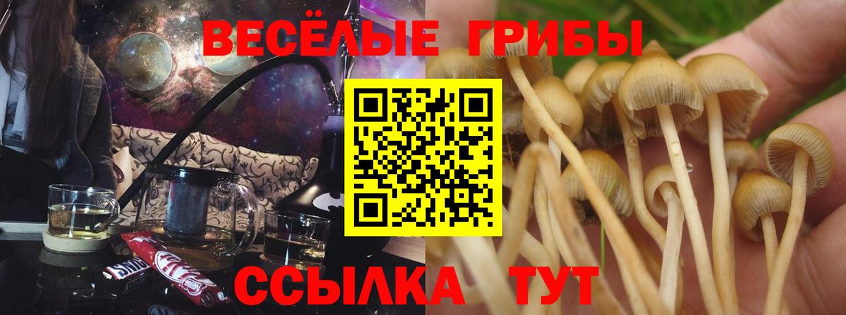 закладка  Вход с VPN  Елабуга  Галлюциногенные грибы Cubensis 